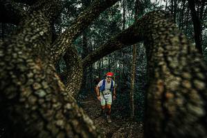 BIB: 
                            <button type="button" onclick="openModal(25671944)" class="btn btn-primary btn-sm float-right btn-popup" data-toggle="modal" data-target=".modal-high-quality">
                        <i class="fas fa-shopping-cart"></i> Add to Cart
                    </button>
                                            <button type="button" onclick="isThisMe(25671944, true)" class="btn btn-success btn-sm float-right btn-popup btn-isme hidden" data-toggle="tooltip" data-placement="bottom" title="นี่คือรูปของคุณใช่ไหม คลิกที่นี่เพื่อเอาเข้าอัลบั้ม">
                        <i class="fas fa-plus"></i> Add to album
                    </button>
                    <button type="button" onclick="isThisMe(25671944, false)" class="btn btn-warning btn-sm float-right btn-popup btn-isnotme hidden">
                        <i class="fas fa-ban"></i> Remove from album
                    </button>